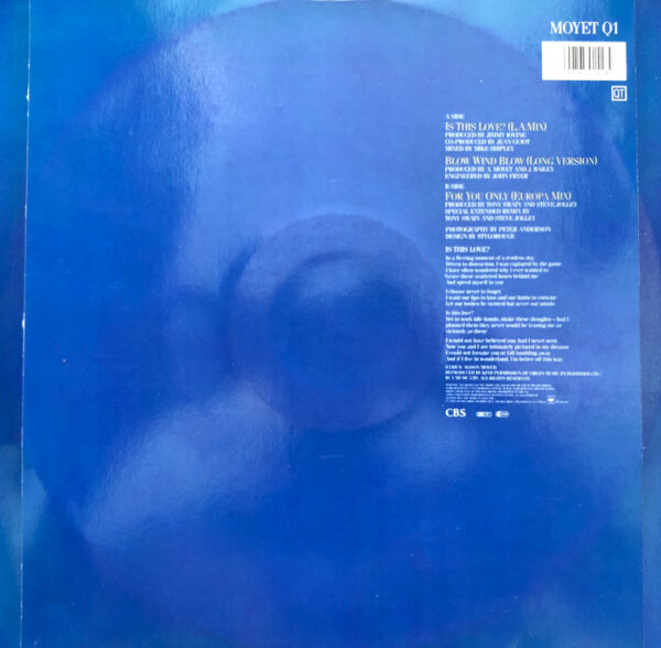 Alison Moyet Is This Love 12 Inch Vinyl Single Picture Sleeve Rear