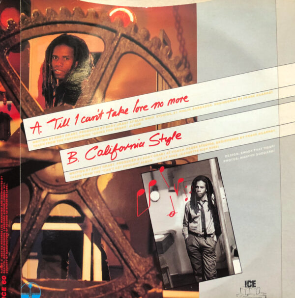 Eddy Grant Till I Can't Take Love No More 7 Inch Vinyl Record Single Rear Cover Picture Sleeve 45 RPM