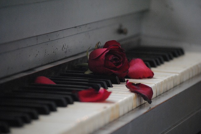 a piano keyboard with a rose
