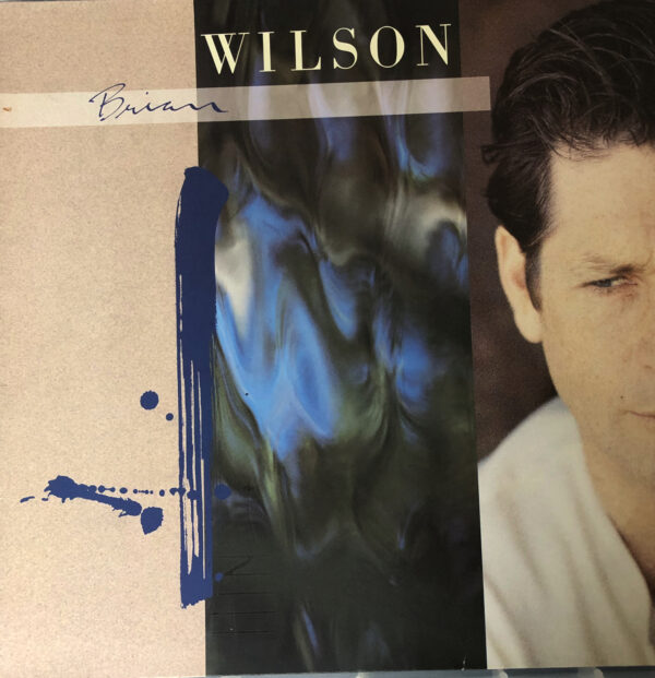 Brian Wilson Vintage Vinyl Record Cover For Sale Front