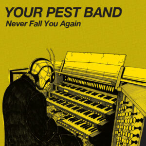 Your Pest Band - Never Fall You Again 7 Inch Vinyl Single ( 7 Inch Record)