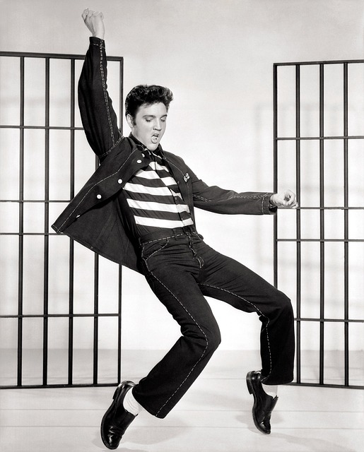 Elvis Presley Jail House Rock
